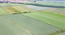 Image showing partial field layout on Balruddery Farm Image showing partial field layout on Balruddery Farm